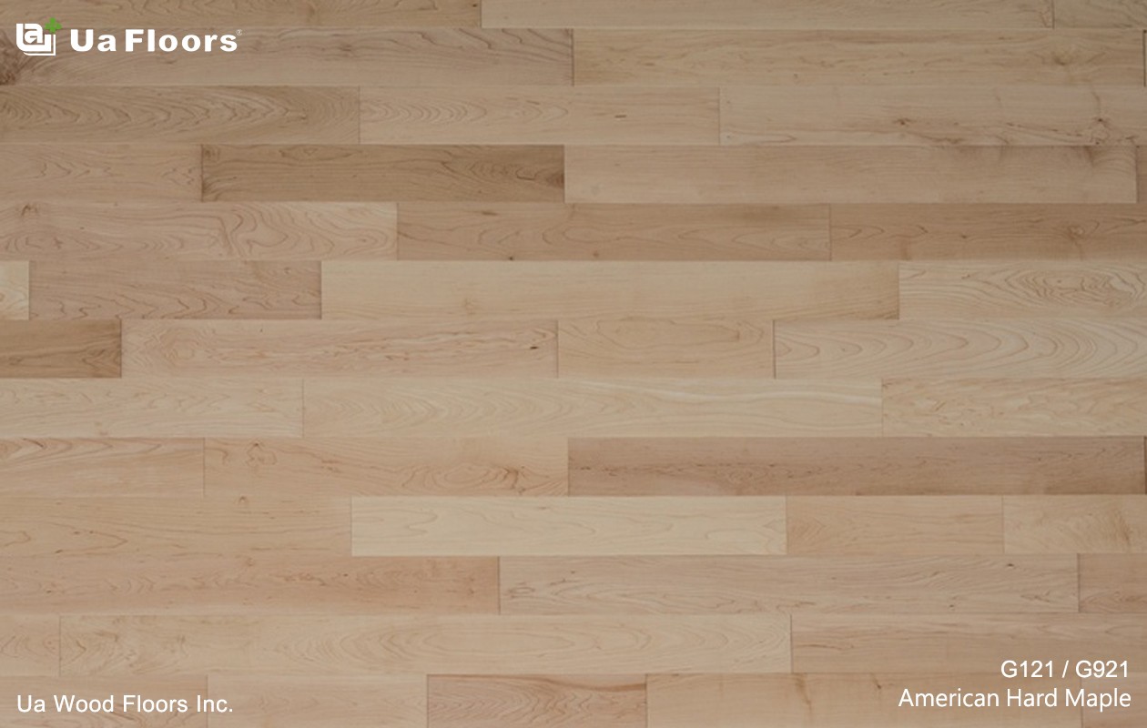 Ua Floors - 產品介紹|American Hard Maple