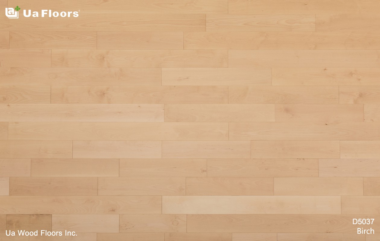 Ua Floors - PRODUCTS|Birch Engineered Hardwood Flooring 